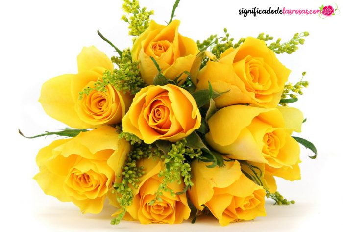 ramo de rosas amarillas